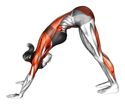 Downward dog con gamba alternata