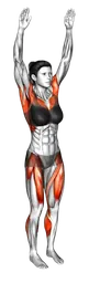 Passo in avanti con cerchio delle braccia
