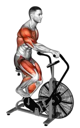 Corsa su assault bike