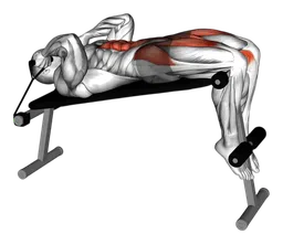 Sit-up su panca declinata con elastico