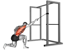 Pulldown a un braccio in ginocchio con elastico