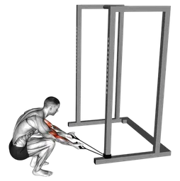 Preacher curl in ginocchio con elastico