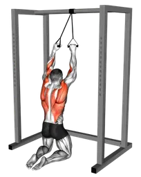Lat pulldown in ginocchio con elastico