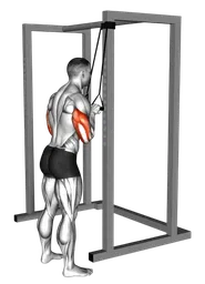 Pushdown con elastico