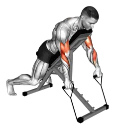 Spider curl inverso con elastico