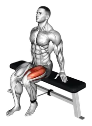 Leg extension da seduto con elastico
