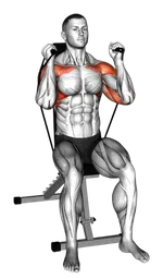 Shoulder press da seduto presa neutra con elastico