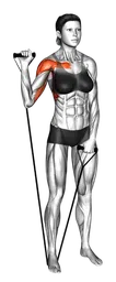 Shoulder press a un braccio con elastico