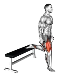 Split squat a una gamba con elastico