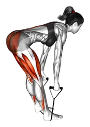 Stacco a gambe tese a schiena dritta con elastico