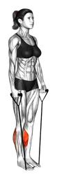 Calf raise a due gambe con elastico (sotto entrambe le gambe) (variante 2)