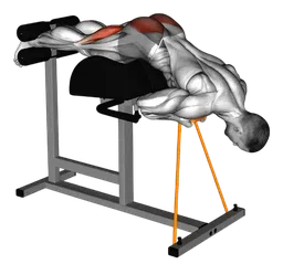 Glute ham raise con elastico (variante 2)