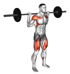 Push press dietro la schiena con bilanciere