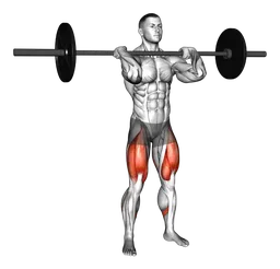 Front squat presa clean con bilanciere