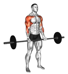 Curl press extension con bilanciere