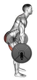Dimel deadlift con bilanciere