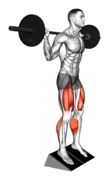Squat con talloni rialzati e bilanciere