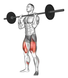 Front squat al petto con bilanciere