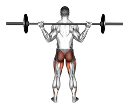 Squat completo con bilanciere (vista posteriore)