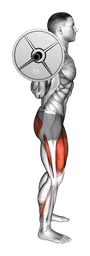 Squat completo con bilanciere (vista laterale)