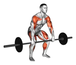 Hang clean con bilanciere sotto le ginocchia