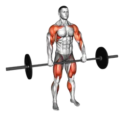 Hang clean con bilanciere