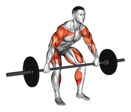 Hang snatch con bilanciere sotto le ginocchia