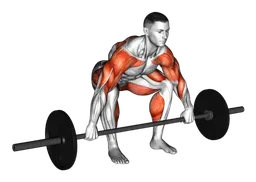 Hang snatch con bilanciere