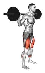 Squat bilanciere basso