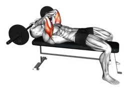 Estensioni tricipiti da sdraiato con bilanciere (skull crusher)