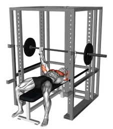 Chest press con bilanciere sui pin
