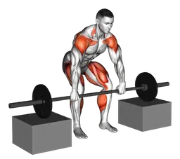 Power snatch da blocchi con bilanciere