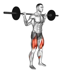 Quarter squat con bilanciere