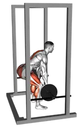 Rack pull con bilanciere