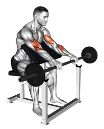 Curl inverso al preacher con bilanciere