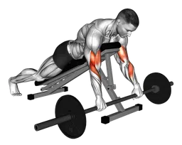 Spider curl inverso con bilanciere