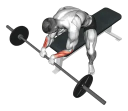Curl polsi inverso con bilanciere