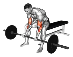 Concentration curl presa stretta da seduto con bilanciere
