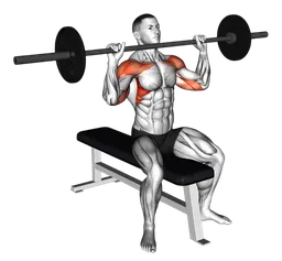 Overhead press da seduto con bilanciere