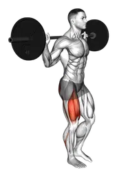 Squat a una gamba con bilanciere (Bilanciere)