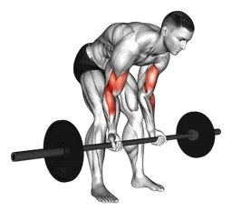 Concentration curl con bilanciere in piedi