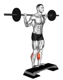 Calf raise gambe con bilanciere in piedi