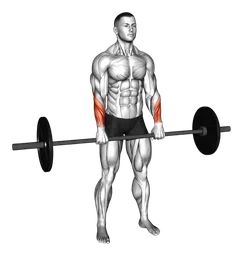 Reverse curl polsi con bilanciere in piedi