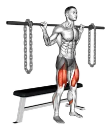 Squat su panca con bilanciere e catene