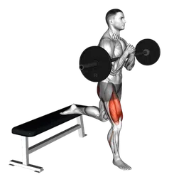Bulgarian split squat Zercher con bilanciere