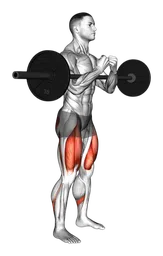Squat hold Zercher con bilanciere