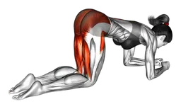 Donkey kick base incrociato