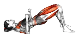 Ponte glutei con press per il petto a corpo libero