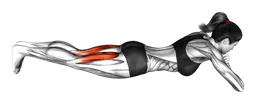 Leg curl alternato da sdraiato a corpo libero