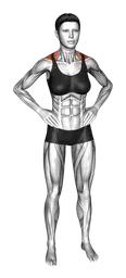 Scrollate in piedi a corpo libero